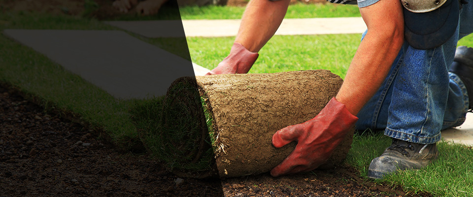 Fort Bragg Landscapers
